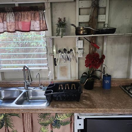 Cabin 2-Rustic Private Stay Near Volcano National Park Fern Forest المظهر الخارجي الصورة