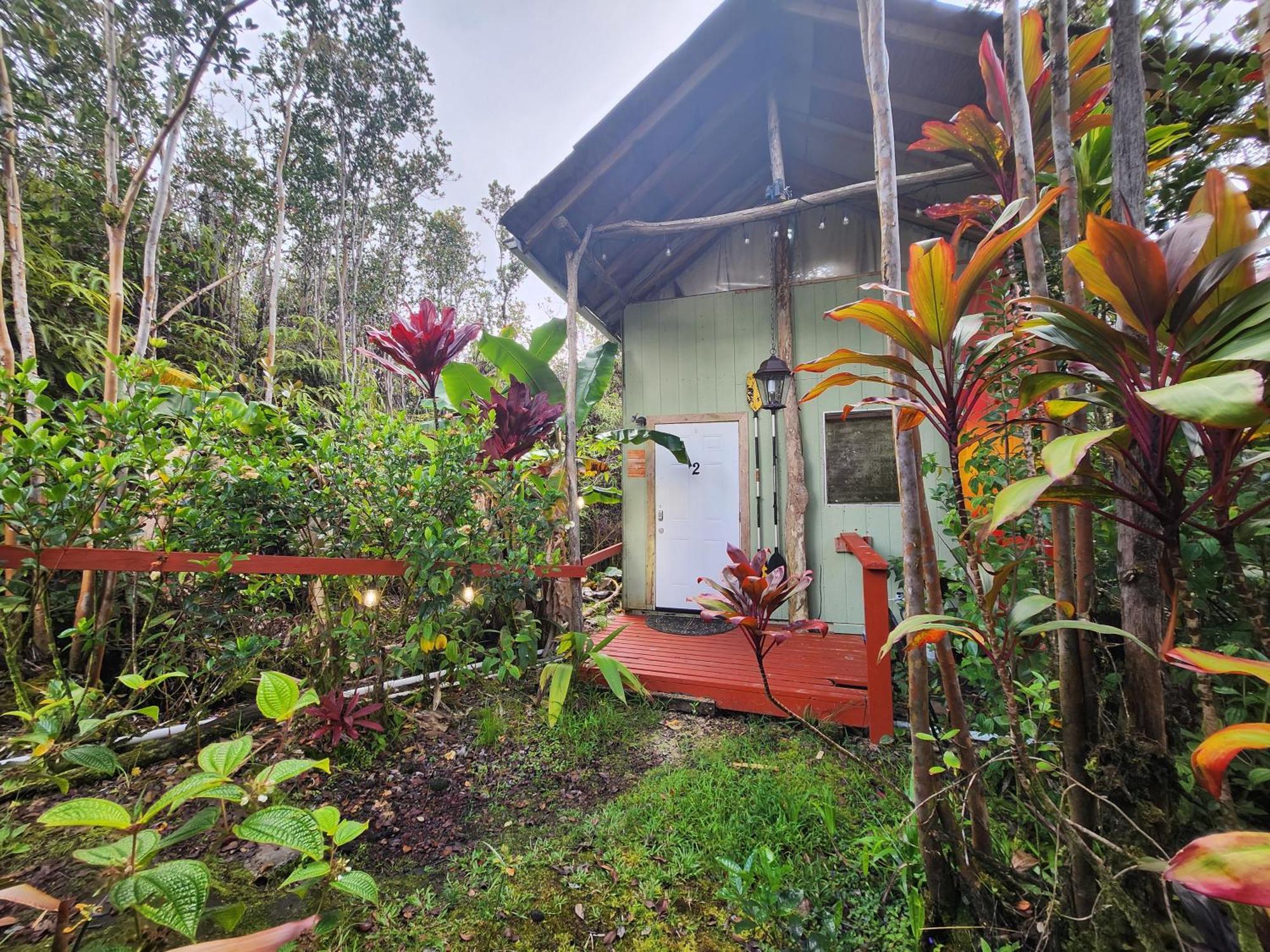 Cabin 2-Rustic Private Stay Near Volcano National Park Fern Forest المظهر الخارجي الصورة