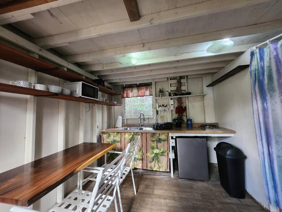 Cabin 2-Rustic Private Stay Near Volcano National Park Fern Forest المظهر الخارجي الصورة